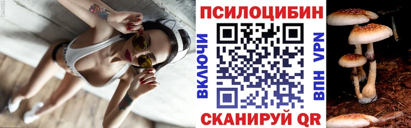 Купить где  Пустошка  Псилоцибиновые грибы мухоморы 